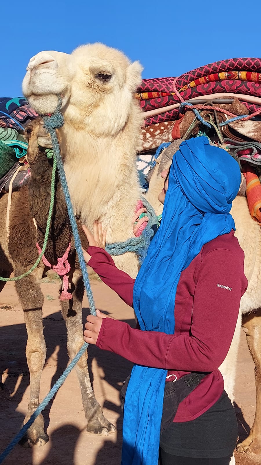 Voyage au cœur du Sahara