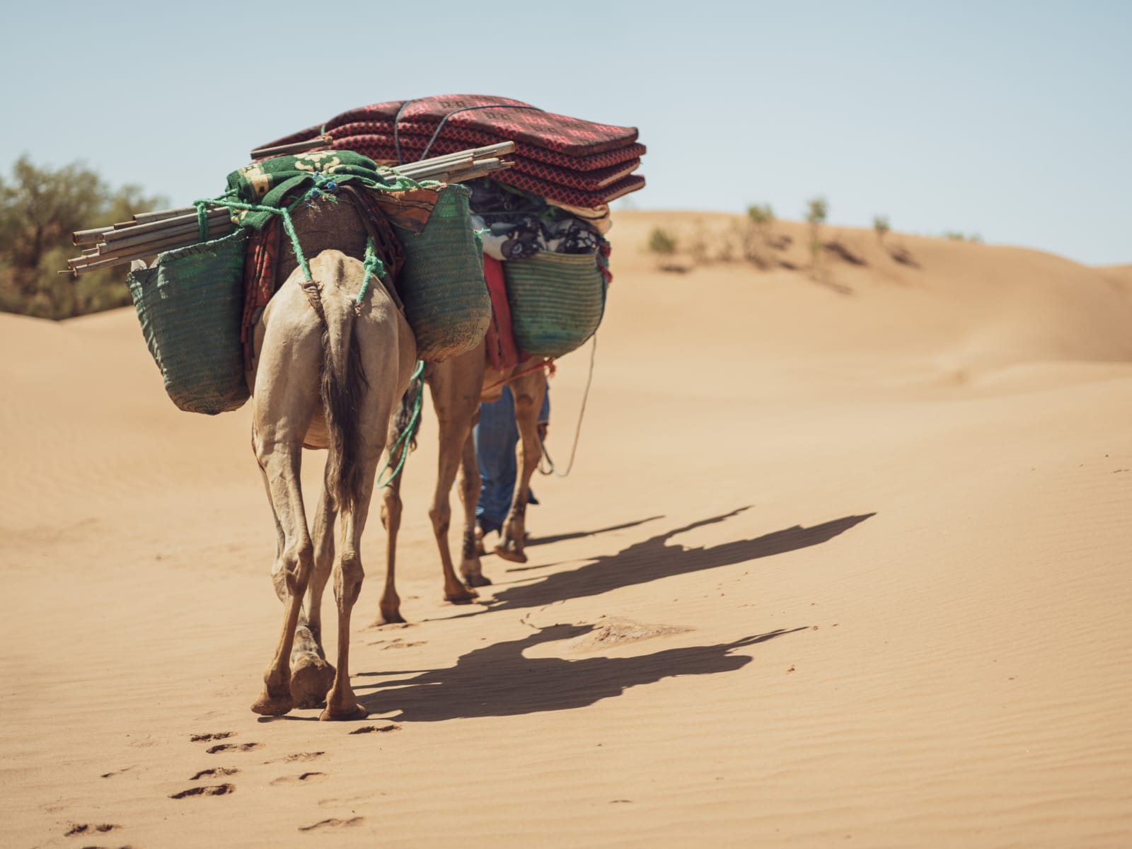 Sur les traces des nomades